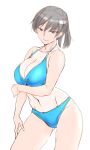  1girl amagami bikini black_eyes black_hair blue_bikini breasts cleavage contrapposto highres large_breasts ponytail sasaki_akira_(ugc) short_hair simple_background solo swimsuit tsukahara_hibiki white_background 