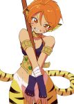  1girl animal_ears breasts breath_of_fire breath_of_fire_ii bustier cat_ears cleavage facial_mark gloves green_eyes highres looking_at_viewer ooo orange_hair pointy_ears rinpoo_chuan short_hair simple_background smile solo white_background 