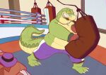  2023 alligator alligatorid anthro bottomwear boxing_gloves boxing_shorts brok_(character) brok_the_investigator clothing crocodilian detailed_background green_body handwear hat headgear headwear hi_res inside luzzy male musclegut punching_bag reptile scalie shorts solo 