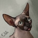  abstract_background blep blue_eyes derpy domestic_cat felid feline felis feral fihell hairless hairless_cat hi_res male mammal portrait realistic signature solo sphynx_(cat) tongue tongue_out 