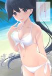  1girl alternate_costume azuki-iro beach bikini black_eyes black_hair breasts collarbone day front-tie_top highres houshou_(kancolle) kantai_collection long_hair looking_at_viewer medium_breasts navel ocean outdoors palm_leaf smile solo standing swimsuit translation_request very_long_hair white_bikini 