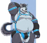  2023 absurd_res anthro belly big_belly black_nose bulge canid canine canis clothing grey_body hi_res jumperbear kemono male mammal moobs overweight overweight_male simple_background solo underwear wolf 