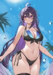  1girl absurdres ahoge bare_arms bare_shoulders bikini black_bikini blue_sky breasts cleavage cloud commentary_request cowboy_shot day groin highres honkai:_star_rail honkai_(series) large_breasts long_hair navel outdoors paradox_(parapa) purple_eyes purple_hair seele_(honkai:_star_rail) side-tie_bikini_bottom sky solo standing stomach swimsuit thighs very_long_hair 