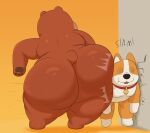  anthro bear big_butt brown_body brown_fur bubble_butt butt butt_slam canid canine canis collar colossalstars dizzy domestic_dog duo fur herding_dog hi_res male mammal multicolored_body multicolored_fur nemo_(party_animals) orange_body orange_fur party_animals_(game) pastoral_dog short_stack squish unnamed_character welsh_corgi 