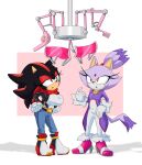  absurd_res anthro big_breasts blaze_the_cat breasts clothing crossgender duo female footwear hi_res hypnotic_visor machine mobian_cat mobian_hedgehog mtf_crossgender sega shadow_the_hedgehog shinmayjay shoes sonic_the_hedgehog_(series) 