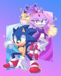  1boy 1girl absurdres blaze_the_cat blue_fur cat_girl fire forehead_jewel fur-trimmed_footwear gloves gold_necklace green_eyes highres jacket jewelry lou_lubally necklace pants pink_footwear ponytail purple_fur purple_jacket red_footwear sonic_(series) sonic_rush sonic_the_hedgehog white_pants yellow_eyes 