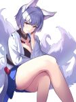  1girl animal_ears azur_lane blue_eyes breasts cleavage commentary_request eyeshadow feet_out_of_frame fox_ears fox_girl fox_tail highres japanese_clothes kaga_(azur_lane) kimono kitsune large_breasts makeup metsu_end multiple_tails revision skirt smile solo tail thighs white_background white_hair white_kimono white_tail 