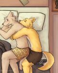  absurd_res anthro bed bulge canid canine canis clothed clothing domestic_dog dragon duo embrace erection furniture hi_res hug humanoid lying male male/male mammal on_side partially_clothed stinkymun tired wolf 