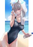  1girl animal_ear_fluff animal_ears beach black_one-piece_swimsuit blue_archive blue_eyes blue_sky breasts cloud competition_swimsuit covered_navel cross_hair_ornament day door extra_ears grey_hair hair_ornament halo highres horizon looking_at_viewer low_ponytail meatball_(mannmarunyannko) medium_breasts medium_hair mismatched_pupils multicolored_clothes multicolored_swimsuit ocean official_alternate_costume one-piece_swimsuit outdoors shiroko_(blue_archive) shiroko_(swimsuit)_(blue_archive) sky solo swimsuit towel towel_around_neck wolf_ears 