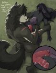  absurd_res anal anal_penetration animal_genitalia anthro arm_grab black_body black_fur black_hair blush butt butt_grab canid canine canine_genitalia canis clrfoolished duo fangs floppy_ears fluffy fluffy_tail from_behind_position fur genitals girly grass hair hand_on_butt hi_res hot_dogging inner_ear_fluff knot lagomorph leporid long_ears long_hair lop_ears male male/male mammal multi_genitalia multi_limb muscular panicking penetration penis perditio pinned pinned_to_floor plant purple_eyes rabbit scar sex size_difference tail tail_tuft teeth tuft vein wolf xray_view 