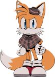  1boy animal_ears animal_nose blue_eyes body_fur brown_capelet brown_headwear capelet closed_mouth digimin fedora fox_boy fox_ears fox_tail full_body furry furry_male gloves hands_on_own_hips hat looking_at_viewer male_child male_focus mini_hat multiple_tails non-web_source official_art plaid_capelet red_footwear shoes simple_background socks solo standing tail tails_(sonic) the_murder_of_sonic_the_hedgehog transparent_background two-tone_fur two_tails v-shaped_eyebrows white_fur white_gloves white_socks yellow_fur 
