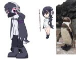  2022 anthro avian bird black_body black_clothing clothing crossover grape-kun headphones jacket japanese_text male meme pegacousin penguin purple_eyes reference_image sega solo sonic_the_hedgehog_(series) text topwear 