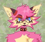  anthro beau_(bugbonic) bugbonic collar eyewear felid feline glasses male mammal trans_(lore) trans_man_(lore) 