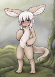  2021 aiasuru alternate_version_at_source ambiguous_gender anthro big_ears blush female fluffy fluffy_tail fur genitals green_eyes hair humanoid hybrid kemono lagomorph leporid looking_at_viewer made_in_abyss mammal nanachi narehate navel nude open_mouth pussy rabbit short_hair smile solo tail tan_body tan_fur touching_thigh whiskers white_hair 