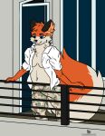  2023 anthro breasts canid canine clothed clothing digital_drawing_(artwork) digital_media_(artwork) female fox fur hi_res looking_down mammal pregnant pregnant_female solo tail taylor_(pijanyrycerz) theonemasochist 