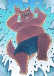  2023 anthro belly big_belly blush bottomwear bulge canid canine canis clothing domestic_dog hi_res humanoid_hands kemono kiyo male mammal moobs navel nipples overweight overweight_male shorts solo swimwear water 