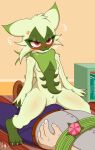  absurd_res angry anthro domestic_cat duo felid feline felis female floragato generation_9_pokemon hi_res highoncoffee human male male/female mammal nintendo pokemon pokemon_(species) pokemon_trainer 