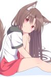 1girl adapted_costume aged_down animal_ear_fluff animal_ears bare_legs brown_hair fang fang_out highres imaizumi_kagerou kazawa_(tonzura-d) long_hair looking_at_viewer looking_to_the_side miniskirt red_eyes red_skirt shirt short_sleeves simple_background sitting skin_fang skirt smile tail touhou white_background white_shirt wolf_ears wolf_girl wolf_tail 