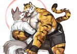  absurd_res anthro blush bodily_fluids candy canid canine canis chocolate dessert duo felid food hi_res kissing male male/male mammal muscular muscular_anthro muscular_male pantherine pecs scar striped_body stripes sweat tiger traver009 vein wolf 