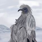  ambiguous_gender avian beak black_eyes cloudy cryptid erosion_bird feathers hi_res humanoid mountain outside signature sitting snow solo swxtrq white_body white_feathers 