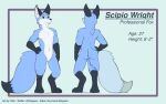  animal_humanoid anthro blue_body blue_fur canid canid_humanoid canine canine_ears canine_humanoid digitigrade fisk24 fox fox_humanoid fox_tail fur hi_res humanoid mammal mammal_humanoid model_sheet reference_image scipio_wright tail tail_tuft tuft 