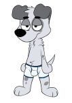  anthro barefoot benny_(hryanart) black_nose blue_boxer_briefs blue_clothing blue_underwear boxer_briefs boxer_briefs_only bulge canid canine canis clothed clothing domestic_dog feet fur grey_body grey_fur hi_res hryanart male mammal markings simple_background smile solo spots spotted_markings topless underwear underwear_only white_background 