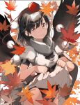  1girl asakura_maru autumn autumn_leaves black_hair black_panties black_skirt black_wings blush breasts brown_eyes closed_mouth clothes_lift cowboy_shot falling_leaves hat highres holding leaf leaf_on_head lifted_by_self looking_at_viewer maple_leaf panties pom_pom_(clothes) puffy_short_sleeves puffy_sleeves red_headwear shameimaru_aya shirt short_hair short_sleeves simple_background skirt skirt_hold skirt_lift smile solo standing tokin_hat touhou underwear white_shirt wings 