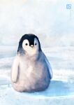  absurdres animal_focus artist_logo baby_penguin bird blush commentary day emperor_penguin english_commentary fynn_the_penguin_(shellz-art) highres no_humans original outdoors penguin shellz-art snow watermark web_address 