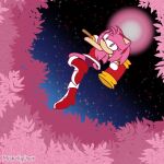  1:1 amy_rose attack digital_drawing_(artwork) digital_media_(artwork) eulipotyphlan female hedgehog mammal mishellyuser night piko_piko_hammer plant sega solo sonic_the_hedgehog_(series) 