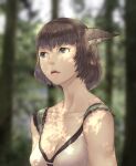  1girl absurdres animal_ear_fluff animal_ears artist_name avatar_(ff11) black_hairband blue_eyes blurry blurry_background breasts brown_hair cactus41747280 cat_ears cat_girl cleavage collarbone dappled_sunlight final_fantasy final_fantasy_xi hairband highres medium_breasts mithra_(ff11) open_mouth pink_lips solo sunlight upper_body 