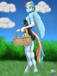  absurd_res anthro basket blue_sky breasts bunny_costume butt choker clothing cloud container costume cutie_mark easter easter_egg equid equine feathered_wings feathers female friendship_is_magic glistening glistening_clothing gloves grass hair handwear hasbro hi_res holidays hooves horse jewelry legwear leotard mammal my_little_pony necklace outside pegasus pinup plant pony pose rainbow_dash_(mlp) shrub sky solo standing stockings sufficient_gravitas tail thigh_highs wings 
