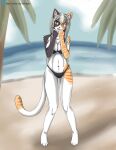  anthro beach bikini calico_cat clothing domestic_cat felid feline felis female haru(etivka) hi_res mammal seaside solo spike_the_furry swimwear 