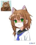  :&lt; absurdres animal_ear_fluff animal_ears black_sailor_collar blue_necktie braid brown_hair cat cat_ears cat_girl commission_watermark disgust extra_ears green_eyes highres looking_at_viewer necktie nisp_art no_pupils original sailor_collar school_uniform shaded_face shirt single_braid white_shirt 