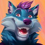  anthro blue_body blue_fur canid canine canis diddydoo fur hair headshot_portrait looking_at_viewer male mammal open_mouth portrait purple_hair purple_nose red_eyes simple_background smile solo teeth tongue wolf yukon 