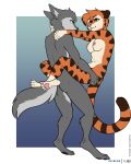  anthro areola breasts brown_stripes canid canine canis carrying_another carrying_partner cheek_tuft colored digital_media_(artwork) duo eye_contact facial_tuft felid female flat_colors foxboy83 fur grey_body grey_eyes grey_fur hair hand_on_butt hands_on_back hi_res imminent_sex leg_wrap looking_at_another male male/female mammal nipples nude orange_body orange_fur orange_hair pantherine short_hair simple_background standing striped_body striped_fur stripes teeth tiger tuft white_body white_fur wolf yellow_eyes 
