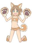  +_+ 1girl :d animal_ears animal_hands bare_arms bare_legs bare_shoulders bra brown_eyes cleavage_cutout clothing_cutout colored_inner_hair commentary dog_ears dog_tail fang flat_chest full_body gloves green_eyes hair_intakes hands_up highres kneeling looking_at_viewer multicolored_hair navel oka_asahi onii-chan_wa_oshimai! open_mouth orange_bra orange_hair orange_panties panties parted_bangs paw_gloves paw_shoes rundraw simple_background smile solo stomach symbol-only_commentary tail two-tone_hair two_side_up underwear white_background 