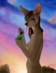  anthro beverage biped breasts canid canine female fennec fox hi_res looking_at_viewer mammal nipples notdonebaking nude pawpads solo sunset 