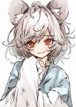  1girl animal_ear_fluff animal_ears blue_capelet blush capelet deal360acv grey_hair highres jewelry long_sleeves looking_at_viewer mouse_ears mouse_tail nazrin open_mouth pendant red_eyes short_hair simple_background smile solo tail touhou upper_body white_background 