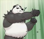  alanottaviano anthro barazoku bear belly generation_6_pokemon giant_panda male mammal musclegut muscular muscular_male nintendo overweight overweight_male pangoro pokemon pokemon_(species) solo ursine 