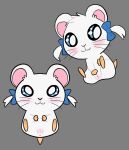  anus bijou_(hamtaro) blush catboyjail cricetid female feral fur genitals hamster hamtaro_(series) hi_res mammal presenting presenting_pussy pussy ribbons rodent solo whiskers white_body white_fur 