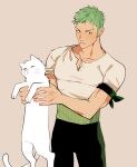  1boy animal cat green_hair highres hoepari holding holding_animal holding_cat long_sideburns longcat_(meme) looking_to_the_side male_focus meme one_piece pectorals roronoa_zoro short_hair sideburns toned toned_male 