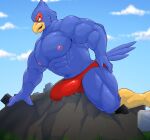  absurd_res anthro avian blue_body bulge clothing croiyan crush destruction detailed_bulge exercise facility falco_lombardi feathers genital_outline hi_res macro male mountain muscular muscular_male nintendo penis_outline push-up solo speedo star_fox swimwear volcano 
