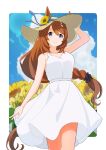  1girl alternate_costume animal_ears arm_up bare_shoulders blue_eyes blue_sky border braid braided_ponytail breasts brown_hair cleavage cloud cloudy_sky commentary_request cowboy_shot dress field flower flower_field hat highres horse_ears horse_girl horse_tail large_breasts long_hair looking_at_viewer multicolored_hair outdoors shiromaru_illust sky smile solo straw_hat streaked_hair sun_hat sundress sunflower sunflower_field super_creek_(umamusume) tail umamusume very_long_hair white_border white_hair 