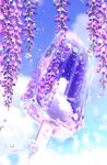  blue_sky cloud day flower food food_focus highres makoron117117 no_humans original outdoors popsicle popsicle_stick scenery sky transparent water_drop wisteria 