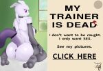  absurd_res advertisement anthro armwear bra breasts butt buttplug clothing collar crossgender digital_media_(artwork) english_text female female_focus generation_1_pokemon genitals hi_res legendary_pokemon legwear looking_at_viewer mammal master_ball meme mewtowo_(shadman) mewtwo nintendo nude plug_(sex_toy) pokeball pokemon pokemon_(species) presenting presenting_hindquarters purple_eyes pussy ring sex_toy simple_background smile solo spiked_collar spikes tail tcg_(artist) text underwear 