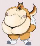  anthro belly big_belly black_nose blush brown_eyebrows canid canine clothed clothing deep_navel eyebrows fondoffrogs footwear fur grey_background hi_res huge_belly male mammal moobs multicolored_body multicolored_fur navel nipples obese obese_anthro obese_male overweight overweight_anthro overweight_male pink_nipples simple_background socks solo tail tan_body tan_fur underwear 