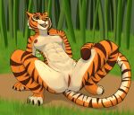  abs anthro athletic athletic_anthro breasts dreamworks felid female fur genitals kung_fu_panda looking_at_viewer mammal master_tigress muscular nipples nude pantherine phelpsfilchat pussy smile solo stripes tiger 