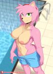  absurd_res amy_rose anthro breasts clothed clothing crossdressing eulipotyphlan female green_eyes hedgehog hi_res male_swimwear_challenge mammal nipples pink_body rainven sega smile solo sonic_the_hedgehog_(series) swimming_pool swimming_trunks swimwear topless topless_female 
