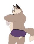  absurd_res anthro back_muscles belly butt canid canine chord_progressions clothing colored eddy_(chord_progressions) facial_markings fox fur gloves_(marking) grey_body grey_fox grey_fur head_markings hi_res looking_at_viewer looking_back male mammal markings musclegut overweight overweight_male pecs rear_view shibacream shirt simple_background sketch solo surprise surprised_expression tail topwear underwear undressing urocyon visual_novel 