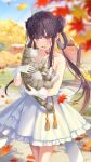  1girl :d animal autumn autumn_leaves back_bow bare_shoulders black_hair blue_sky blunt_bangs blurry blurry_foreground blush bow braid braided_bun cat choker cocktail_dress collarbone cowboy_shot double_bun dress frilled_dress frills girl_cafe_gun gloves grass hair_bow hair_bun hair_rings hands_up highres holding holding_animal holding_cat kikuri_yuki layered_dress leaf long_hair looking_at_animal looking_down maple_leaf official_art orange_choker path ponytail purple_eyes short_dress sidelocks sky smile solo strapless strapless_dress tree tree_shade very_long_hair white_bow white_dress white_gloves 